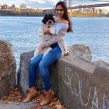 Animal Lover Available Immediately