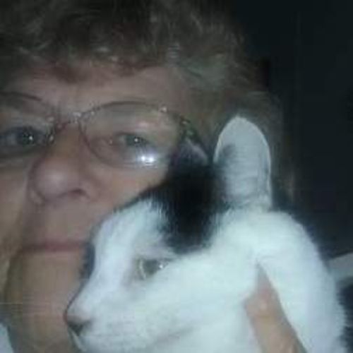 House Sitter Provider Linda G's Profile Picture