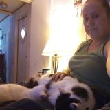 Looking to watch your wonderful animals for you