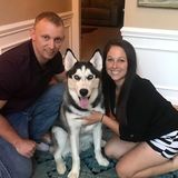 Animal loving Irmo resident seeking to give your pet love and attention