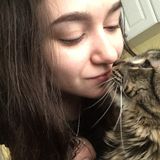 Qualified Pet Sitter in Taunton, Massachusetts.
I have many years of expirence with pet care, and will treat as if my own.