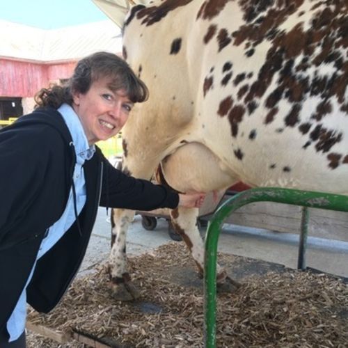 Elder Care Provider Patricia D's Profile Picture