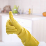 House Cleaning / Maid Service