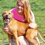 Sabbi's Pet Sitting Services