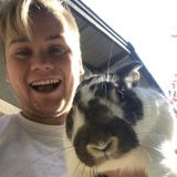 I am a all around animal lover with experience in loving and walking all types of furry friends.