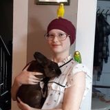 Overnight Care Offered in Normal
Dog Walking
Pet Sitting