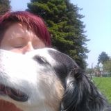 Skillful Reliable Pet Sitter in Savannah