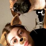 Searching for Dog walking jobs in Toronto