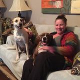 Lee House and Pet Sitter Seeking Being Hired in Florida