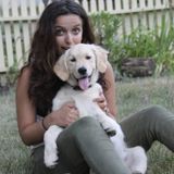 Long time student dog owner, looking to provide care for your furry friend!