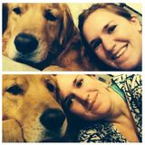 Fun and friendly dog lover