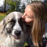 Loving animal enthusiast ready to care for your pet!