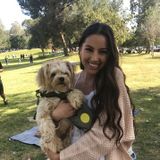 Passionate animal lover at your service!