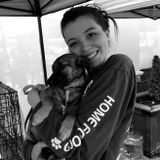 Dog Walker/ Pet Sitter! Lots of experience