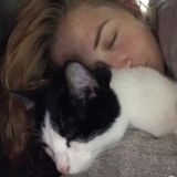 Reliable & Compassionate House Sitter Willing To Travel! Experience With House & Pet Sitting