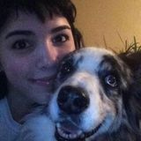 College honors student pet sitting over summer break!