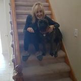 Loving animal sitter. Available anytime and short notice is fine!