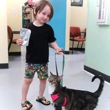 Job Opportunity: a Kind and Gentle Babysitter for 1 very active 4 year old in Gladstone, Missouri