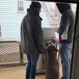 Reliable Pet Care!