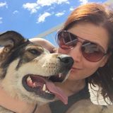 Quality dependable pet care you can rely on.