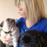 Professional Pet Sitter/Dog Walker in Bloomington/Normal