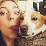 Lover Of Dogs All Shapes And Sizes