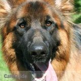 Pet Care, In-home boarding and Farm care