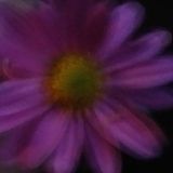 Zippity Clean and Other Things we clean, organize, paint, get rid of the clutter....com