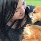Trustworthy care for your fur baby!