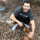 Qualified and Dependable Pet Sitter - Available Immediately