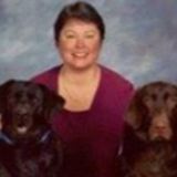 Most Seasoned Pet Care Provider in Salisbury and surrounding areas within reason.