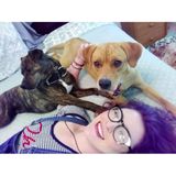 Lufkin Animal Lover Available!
