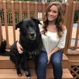 Vet Hospital Experienced Dog Sitter in Brockport, New York
can give medication/insulin