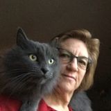 Hi Im meg, I am a young senior and am experienced with both house and pet sitting