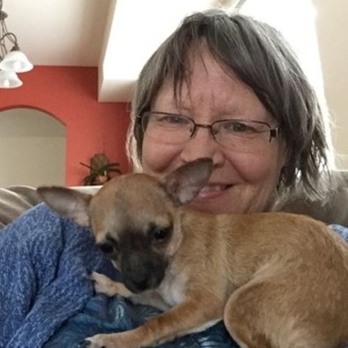 House Sitter Provider Barb Grout's Profile Picture