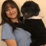 Dog walking, grooming, medication administration, pet sitting, all offered in South Side of Chicago