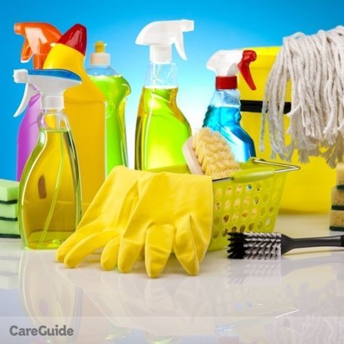 Housekeeper Provider Idalia N's Profile Picture