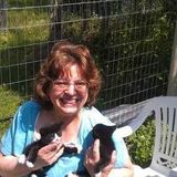 Available: Passionate home Caretaker in Chatham
