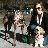 Looking For a Pet Service Provider Opportunity in Corning