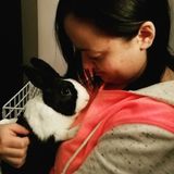 Holly Springs Animal Lover Seeking Work