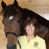Pet care and dog walking