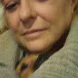 Available: Flexible Pet Service Provider in Quincy