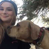 Full time pet care in my home or yours!