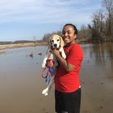 Woodbridge Pet Sitter Interested In Being Hired in Virginia