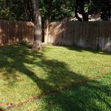 Landscaping & Lawn Services