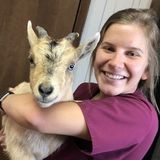 My name is Rebecca, you can call me Becca! I am offering pet large or small services for feeding, medicating and sitting.