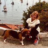 Trusted experienced House Sitter in Arlington Heights, Illinois