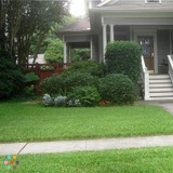 Quality lawn cut