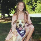 For Hire: Pet Service Provider for all breeds and sizes in Knoxville, Tennessee!