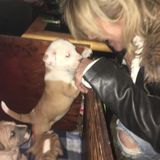 Available: Great House Sitting Professional in Green Bay, Wisconsin